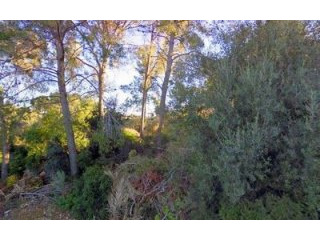 IP2-2804 - Plot For sale in Costa de la..