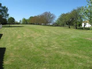Site