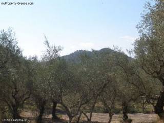 Land - Zakynthos - For Sale