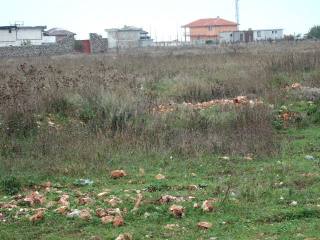 Land in Topola, Kavarna