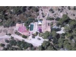 - Finca - For Sale