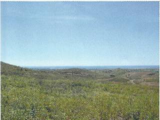 Land - Plot of land with 100.000sq-mt...