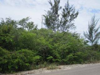 Singlefamilyvacant - This large single..