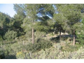 Large And Flat Plot With Views To..
