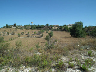 Land - Paphos - For Sale