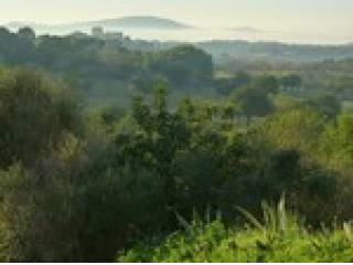 - Land - For Sale