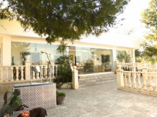 Luxury Villa La Romana