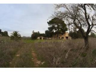 Son Servera, Finca with project+licence..