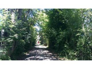On nice and quiet hamlet with 5000 m2 a..