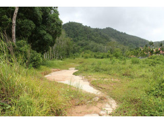 44 Rai near Laguna - just THB 4.5..