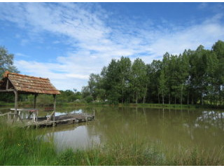 Lake of 1.5 acres in plot of 3.5 acres.