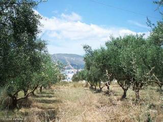 Land - Zakynthos - For Sale