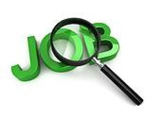  Golden Opportunity working at the HOME