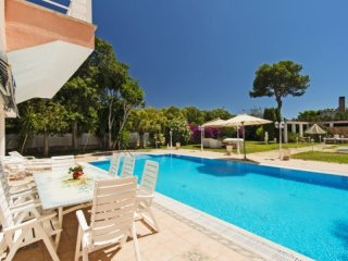 Villa With Spa And Guest House Near The..