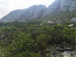 Bettys Bay Vacant Land, Bettys Bay