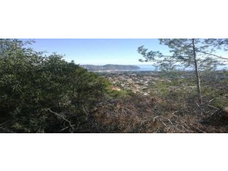 - Land - Alicante - For Sale