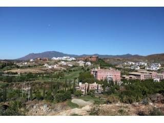 Los Flamingos Plot