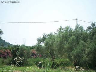 Land - Zakynthos - For Sale