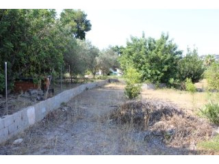 Plot in Javea
