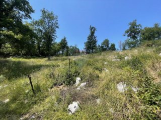 MATULJI, Mučići - Građevinsko zemljište 2000m2