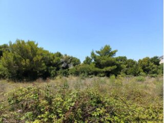 DRAGE (PAKOŠTANE) - GRAĐEVINSKO ZEMLJIŠTE 434m2