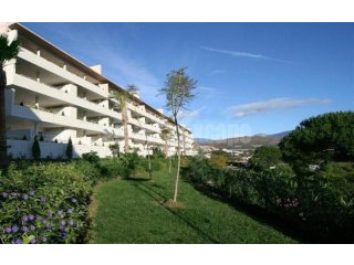 Apartment For Sale In Nueva Andalucia..