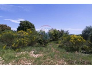 Istra,Ližnjan, građevinsko zemljište 1100m2