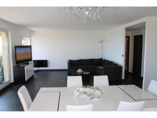 Stunning, Modern Apartment With..