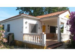 Finca Farm - Awaiting further details..