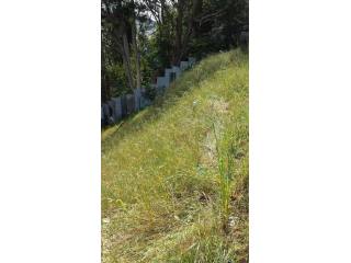 Land For Sale: 1886 Quesada Ave, San..