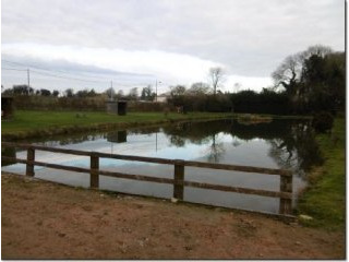 Two Lakes with Cabin, Great Location