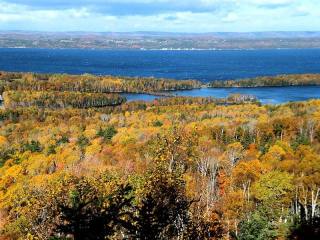Land For Sale: 2199 Grand Narrows..