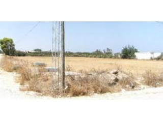 A plot of 3320sqm on Chott Meriem