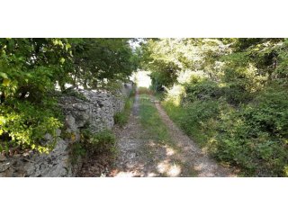 Istra, bliža okolica Vodnjana, velika parcela u prirodi