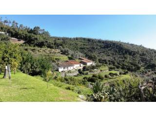 Rustic property on huge plot over..