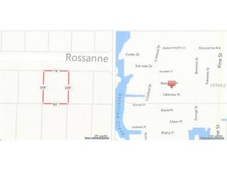 Land For Sale: Rossanne Pl, Englewood..