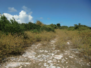 Freehold Parcel in The Settlement..
