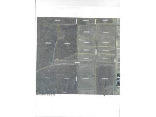 Land For Sale: Silver Springs, Nevada