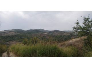 Agricultural land for sale in Italy..