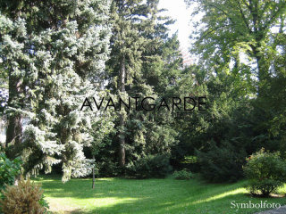 Plot in Dobling with building permit