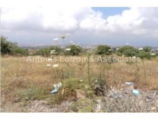 Field For Sale in Mesogi Village, Paphos