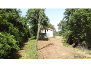 Istra, Višnjan - Samostojeća kuća sa 4900 m2 okućnice