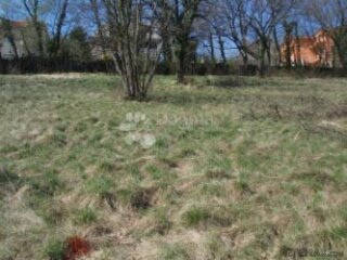 ČAVLE 1500m2