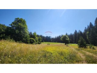 Sunger - negrađevinski teren među smrekama