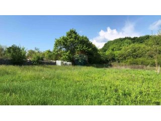 Istra, Tinjan, poljoprivredno zemljište 3928 m2