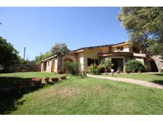 - Farm - For Sale