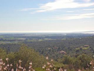 Plot with views until the Bay of Palma..