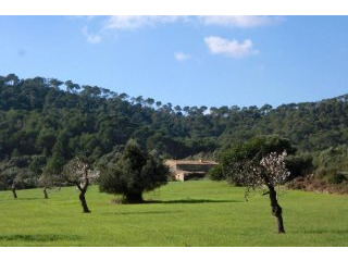 Unique and spectacular large estate..