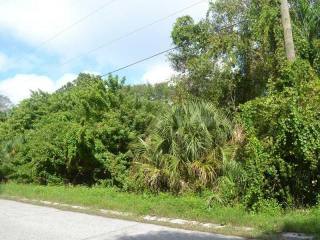 Land For Sale: Alligator Pl, Venice, FL..