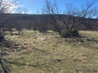 Kukuljanovo, teren u gospodarskoj zoni